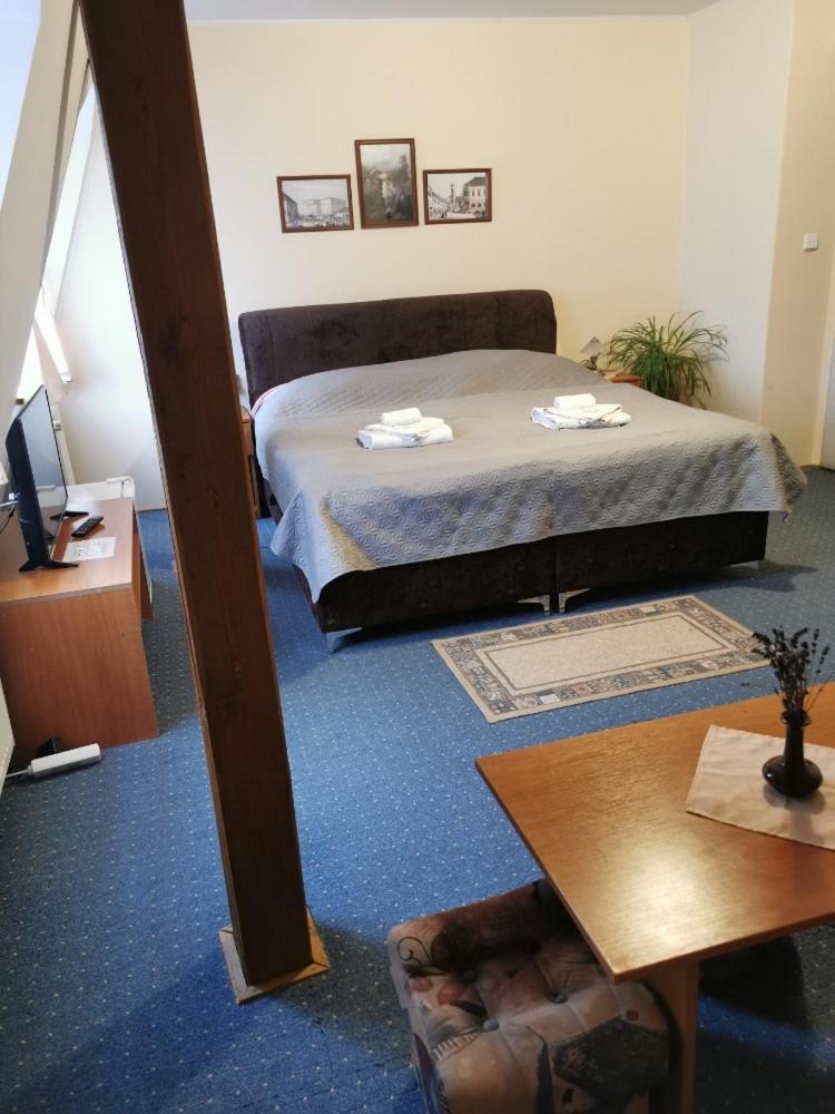 Hotel Alster Jevíčko エクステリア 写真