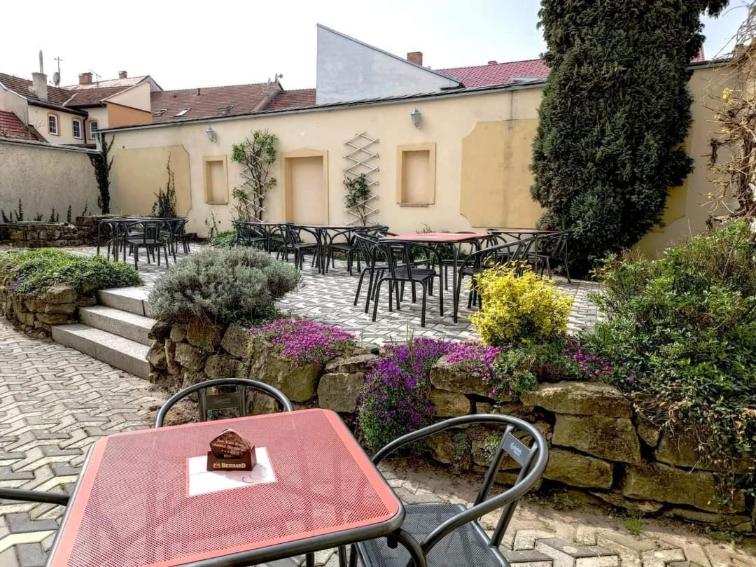 Hotel Alster Jevíčko エクステリア 写真