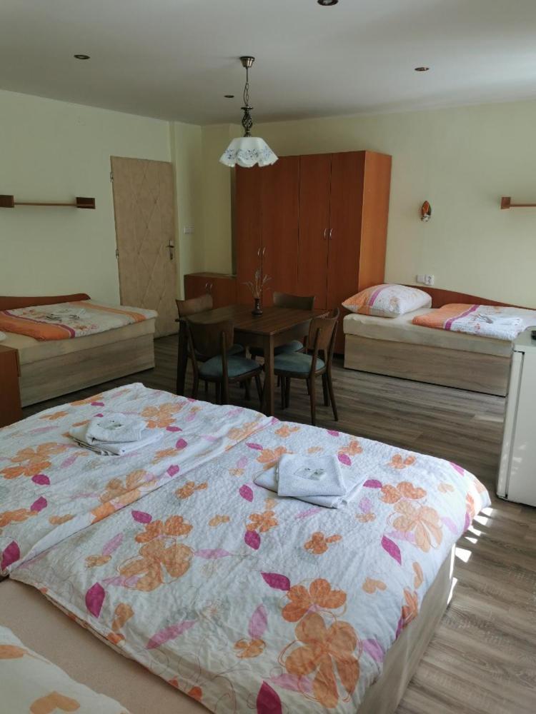 Hotel Alster Jevíčko エクステリア 写真