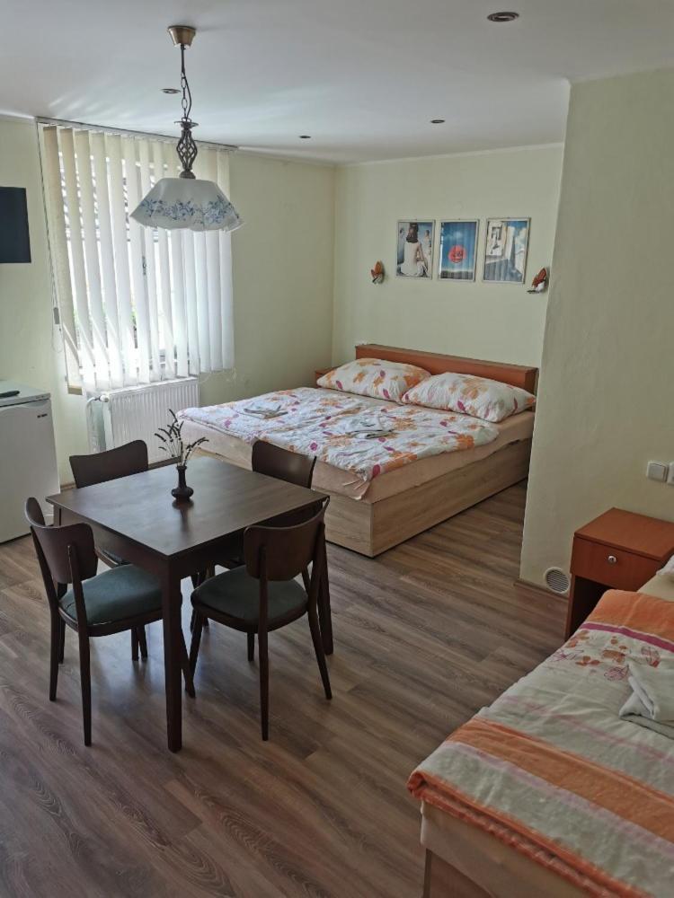 Hotel Alster Jevíčko エクステリア 写真