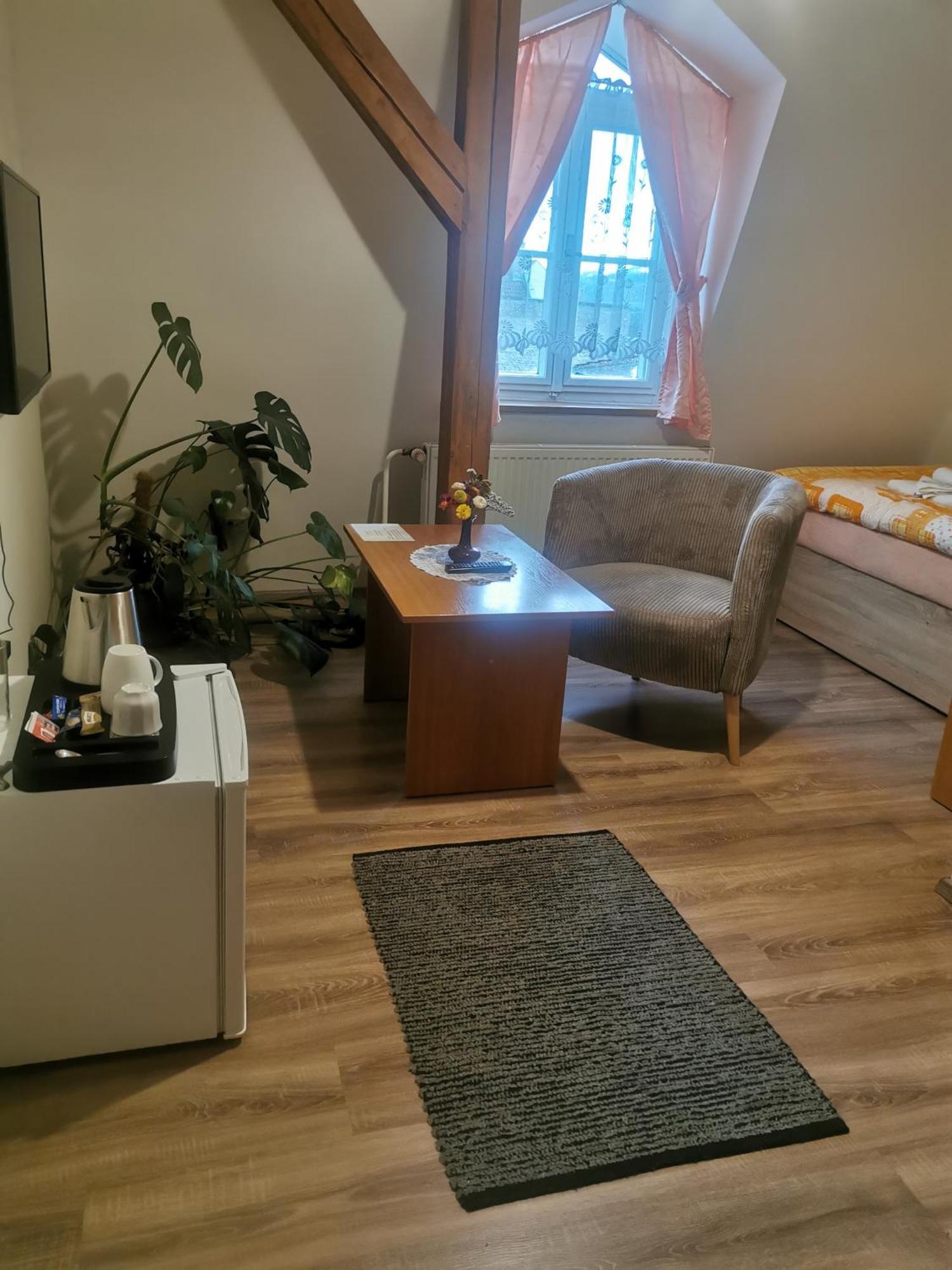 Hotel Alster Jevíčko エクステリア 写真
